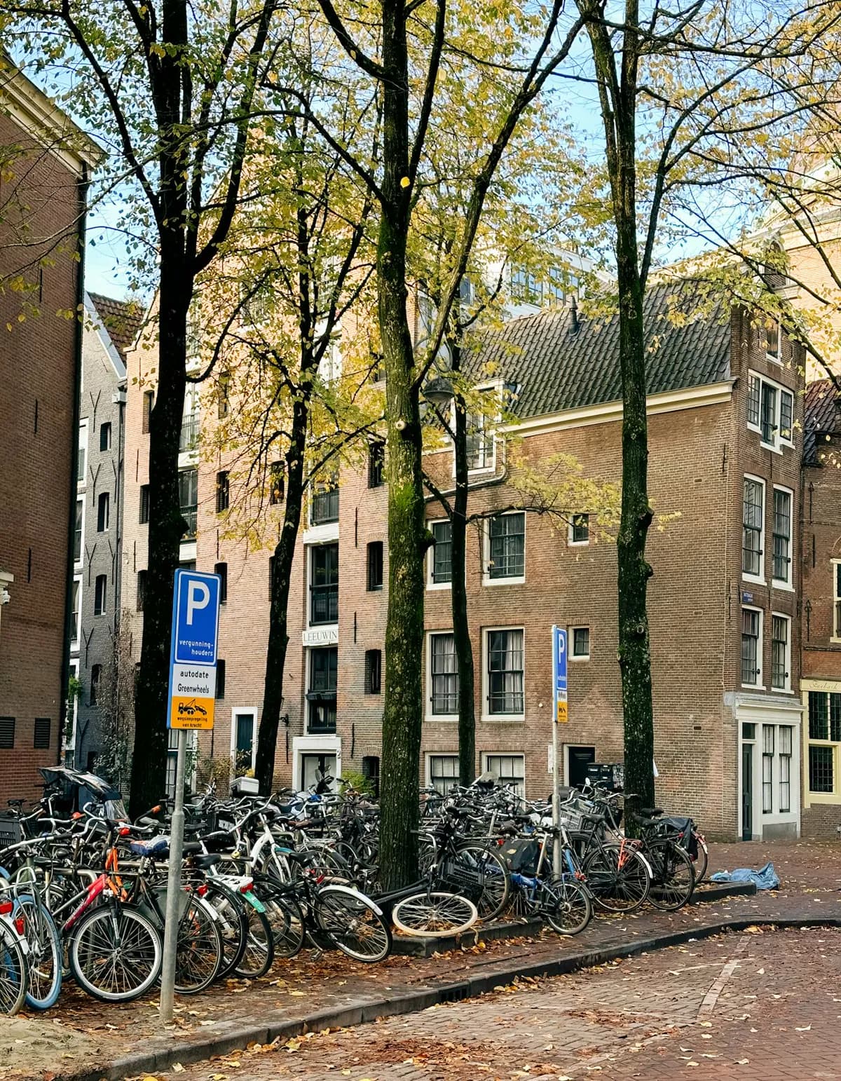 Dutch neighborhood street with bikes and warm local life